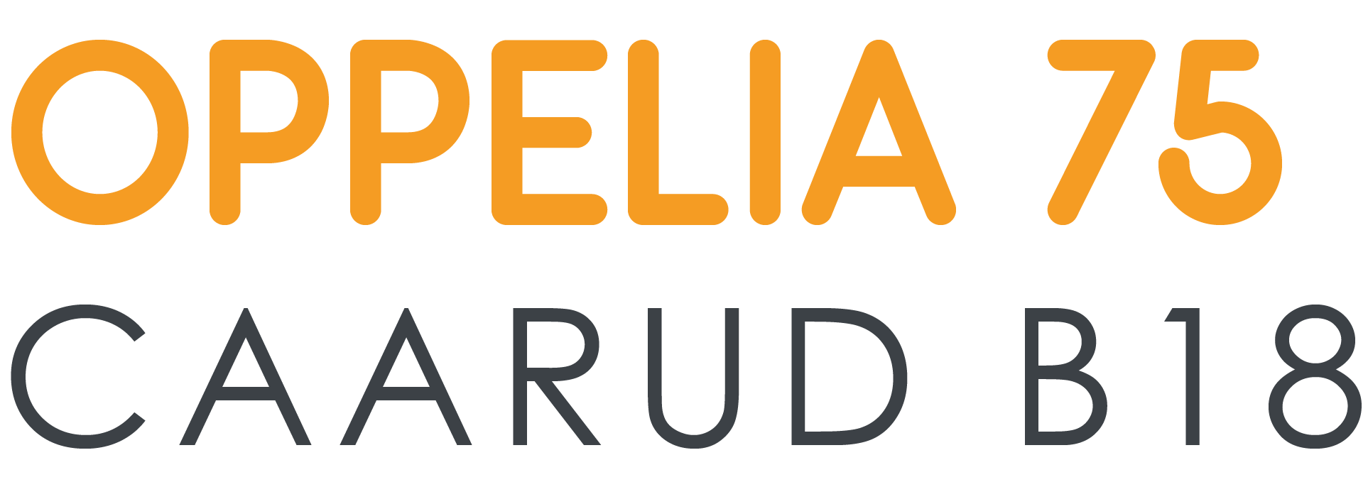 CAARUD B18 - 2 - RVB